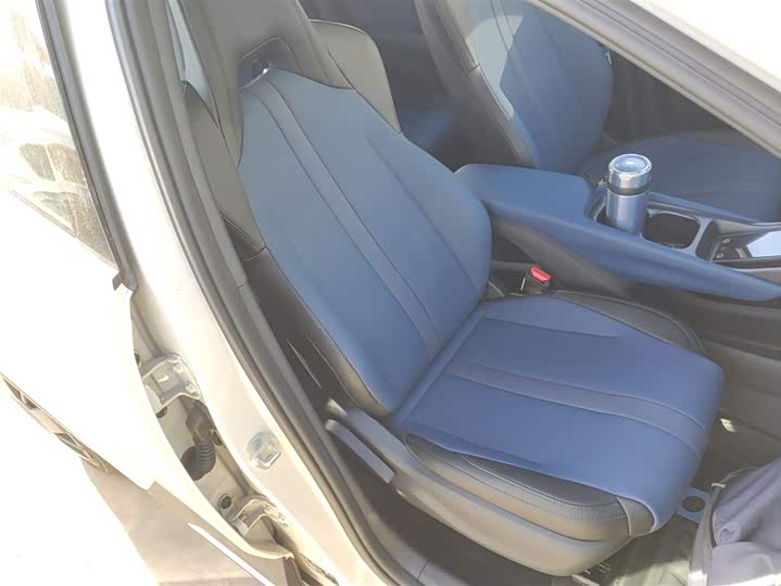 BYD Seagull 2025 2025款 智驾版 305km 活力版