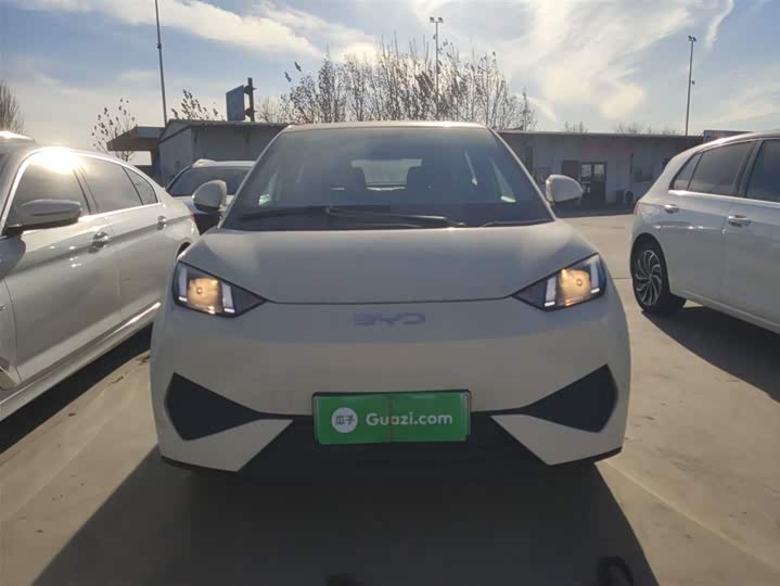 BYD Seagull 2025 2025款 智驾版 305km 活力版