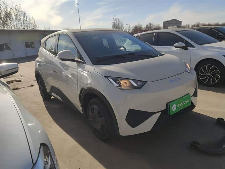 BYD Seagull 2025 2025款 智驾版 305km 活力版