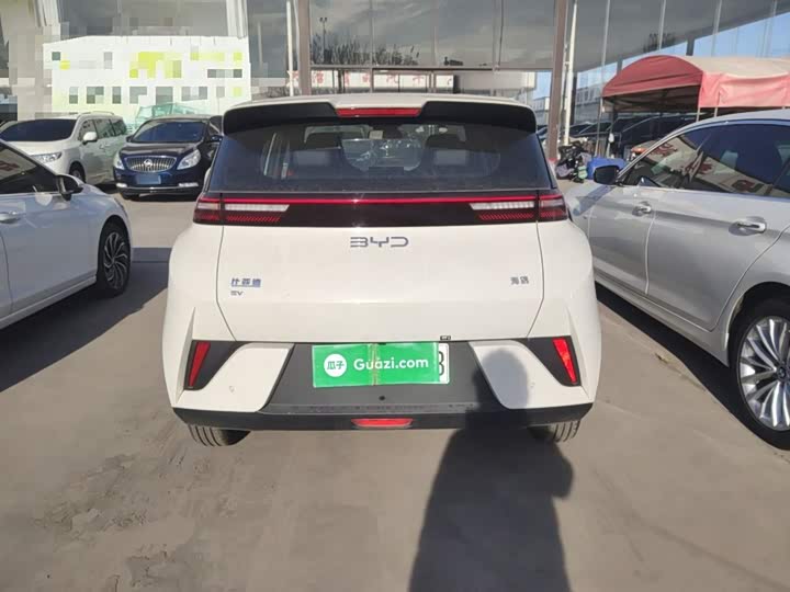 BYD Seagull 2025 2025款 智驾版 305km 活力版