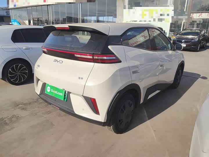 BYD Seagull 2025 2025款 智驾版 305km 活力版