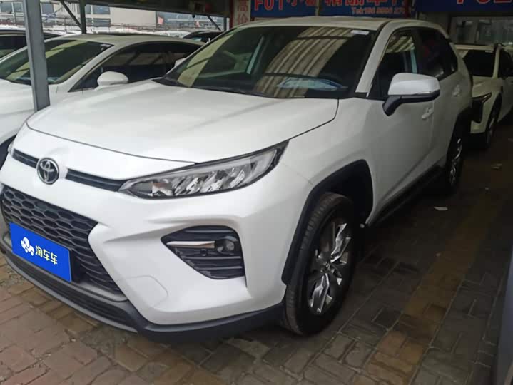 Toyota Wildlander 2024 2024款 2.0L CVT两驱领先版