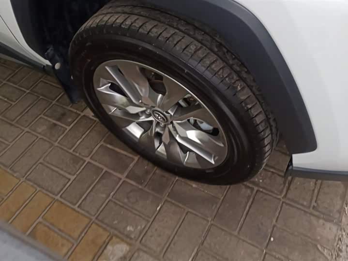 Toyota Wildlander 2024 2024款 2.0L CVT两驱领先版