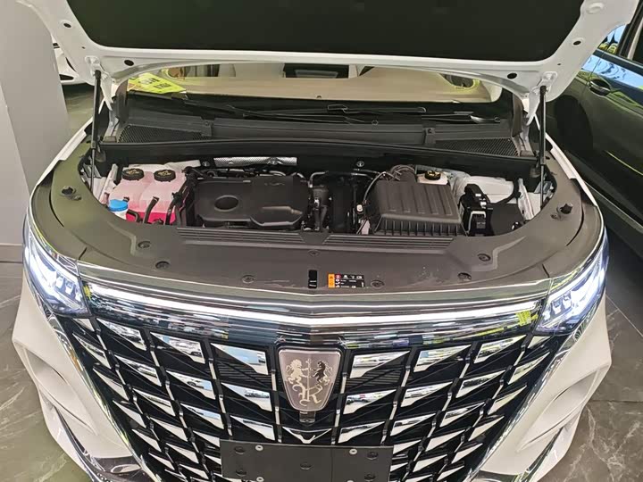 Roewe iMax 8 EV 2025 2025款 1.5T DMH 陆尊至享版