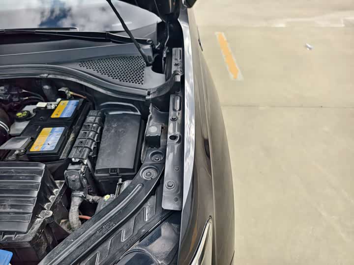 Volkswagen Tayron X 2023 2023款 330TSI 两驱尊贵高能版