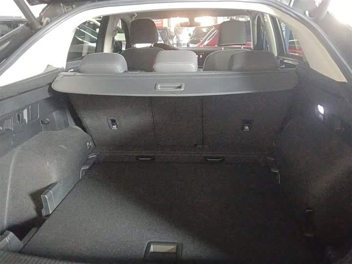 Volkswagen Tayron X 2020 2020款 330TSI 两驱尊贵智联版