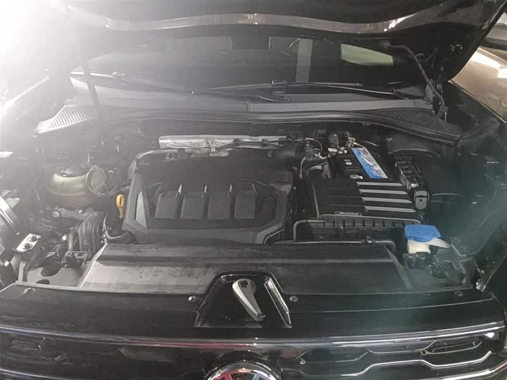 Volkswagen Tayron X 2020 2020款 330TSI 两驱尊贵智联版