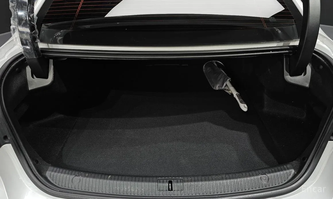 Renault SM6 2020 2.0 LPe LE