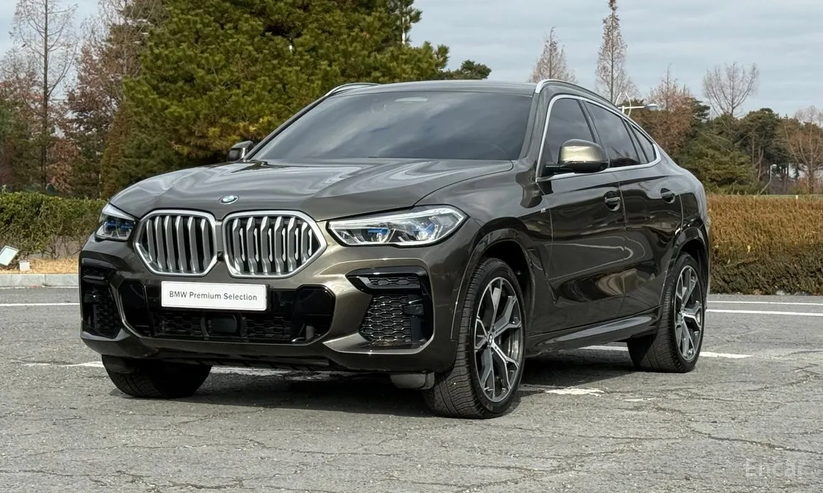 BMW X6 2020 xDrive40i M Sport