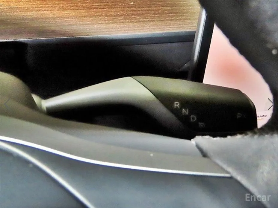 Tesla Model Y 2020 Performance