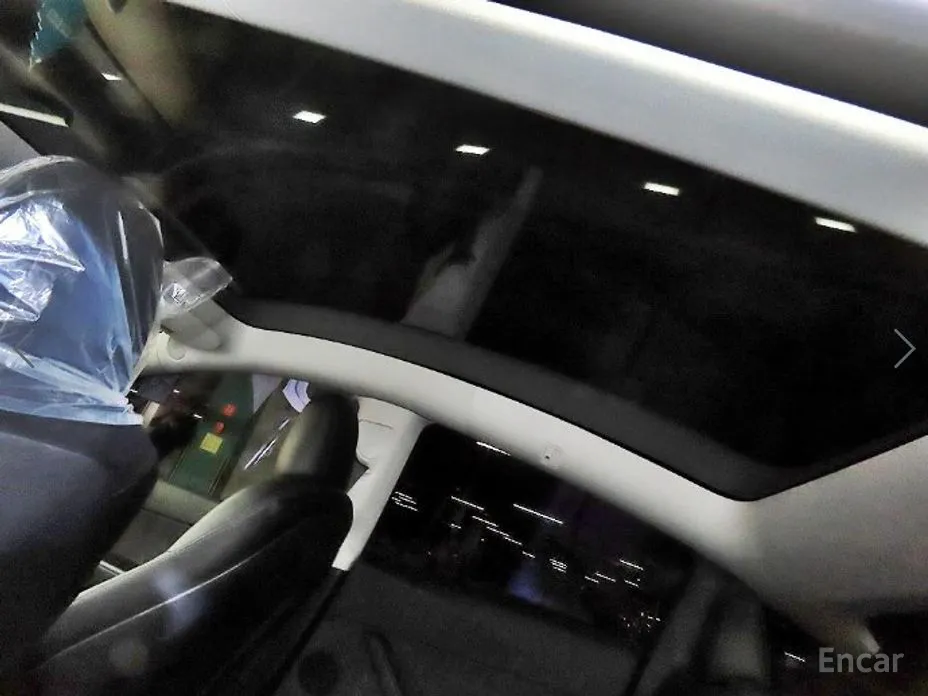 Tesla Model Y 2020 Performance