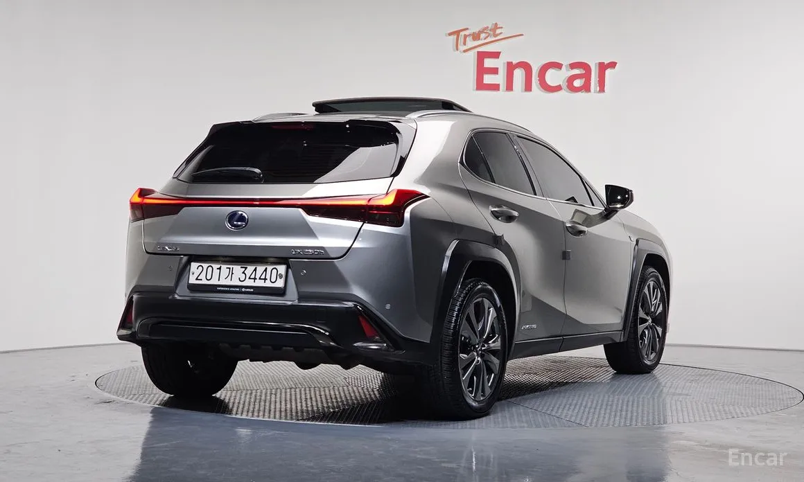 Lexus UX 2019 2.0 F-Sport 2WD
