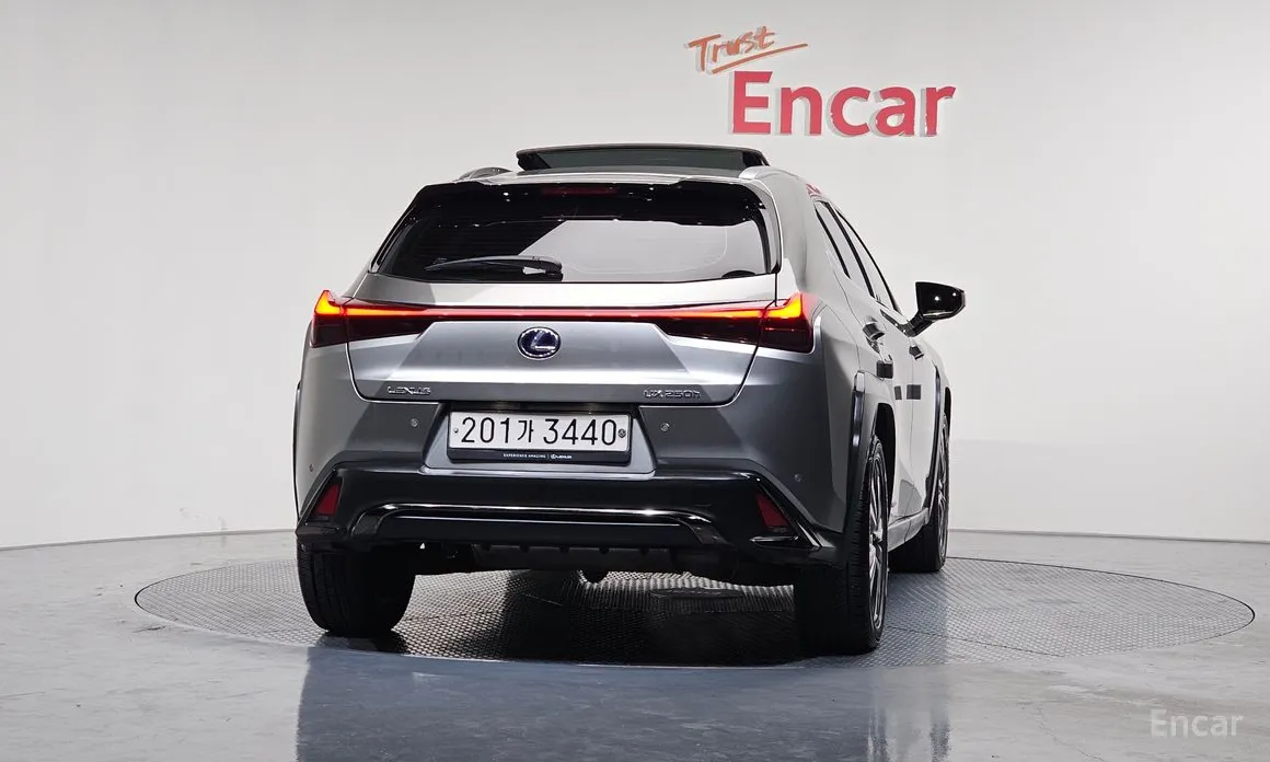 Lexus UX 2019 2.0 F-Sport 2WD