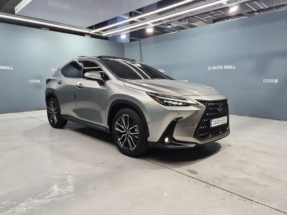 Lexus NX 2022 Luxury