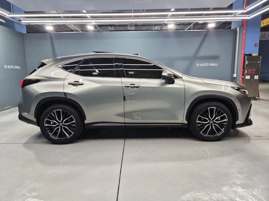Lexus NX 2022 Luxury