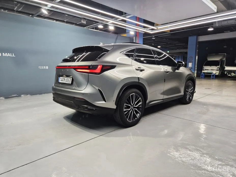 Lexus NX 2022 Luxury