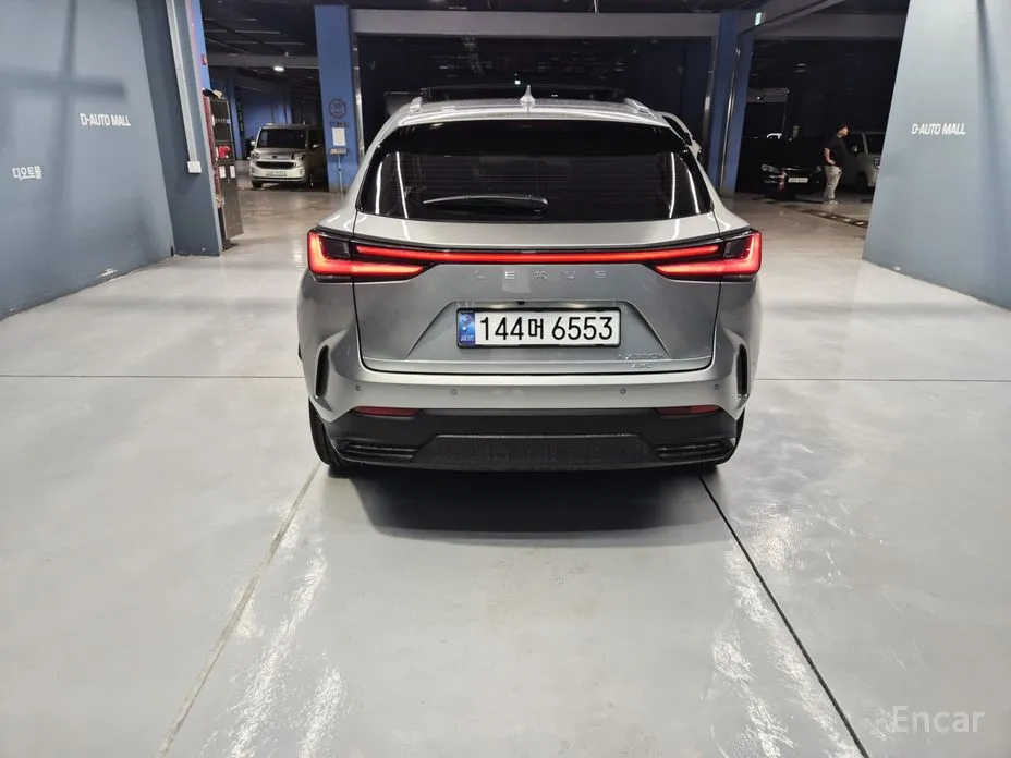 Lexus NX 2022 Luxury