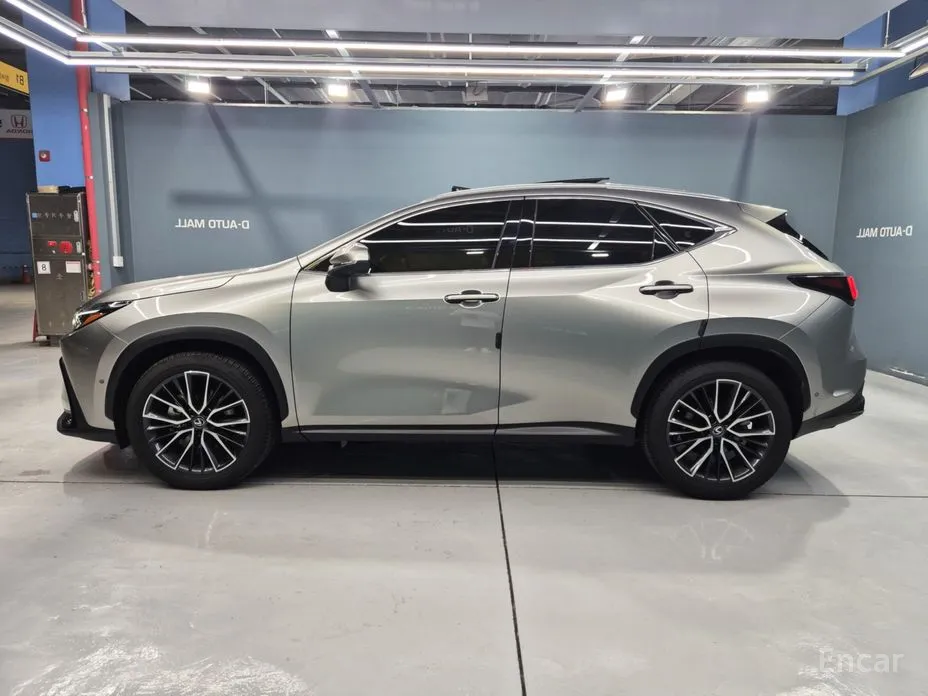Lexus NX 2022 Luxury