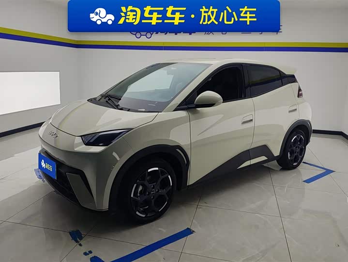 BYD Seagull 2025 2025款 305km 自由版