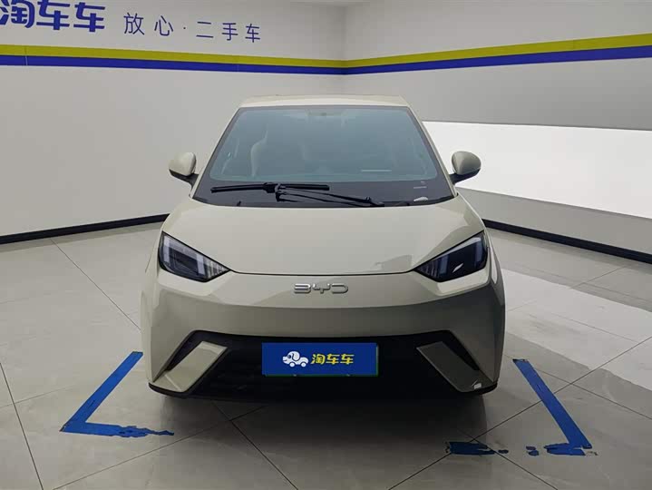 BYD Seagull 2025 2025款 305km 自由版