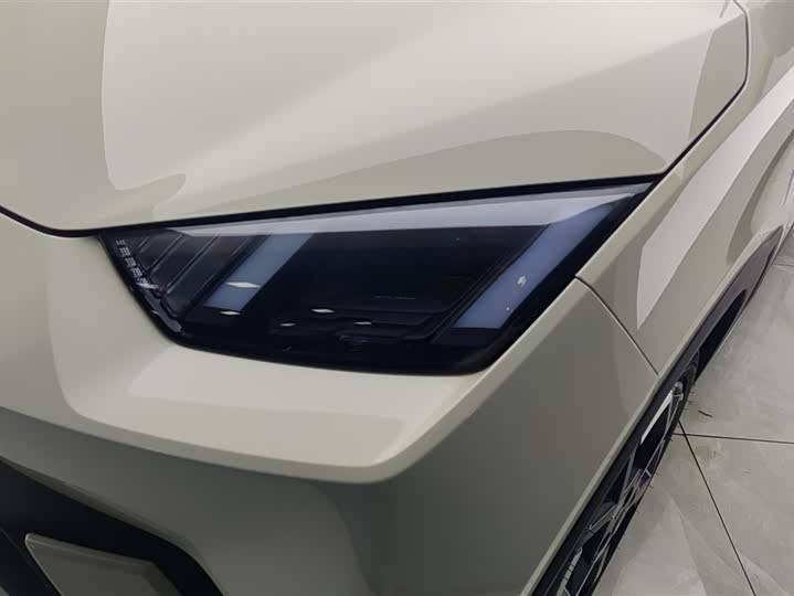 BYD Seagull 2025 2025款 305km 自由版