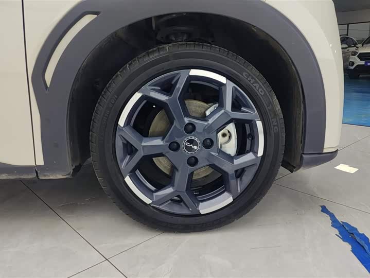 BYD Seagull 2025 2025款 305km 自由版