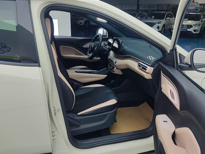 BYD Seagull 2025 2025款 305km 自由版