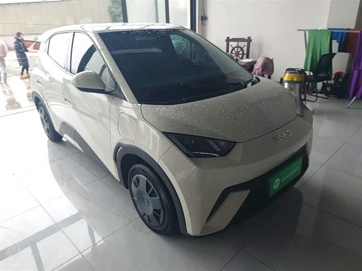 BYD Seagull 2025 2025款 305km 活力版