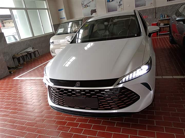 BYD Qin Plus 2025 2025款 DM-i 智驾版 55KM领先型