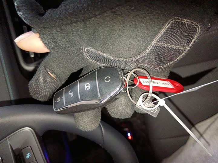 BYD Qin Plus 2025 2025款 DM-i 智驾版 55KM领先型