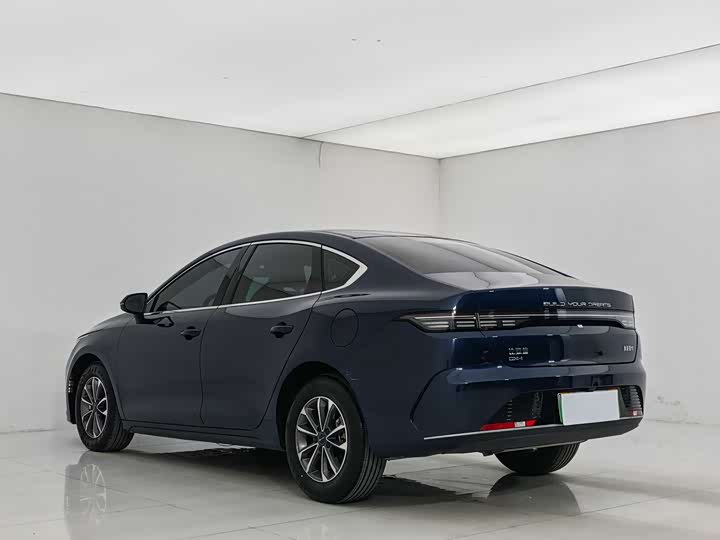 BYD Destroyer 05 2024 2024款 荣耀版 DM-i 55KM 豪华型