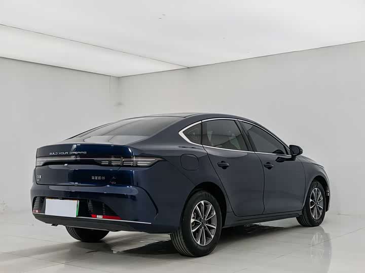 BYD Destroyer 05 2024 2024款 荣耀版 DM-i 55KM 豪华型