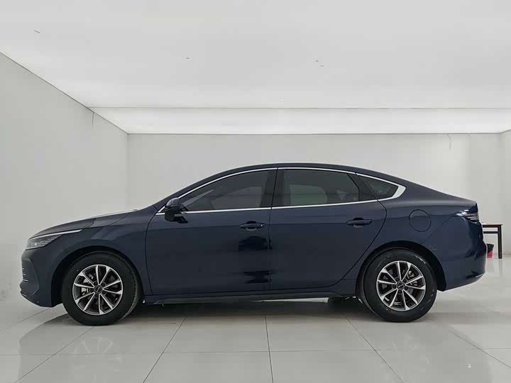 BYD Destroyer 05 2024 2024款 荣耀版 DM-i 55KM 豪华型