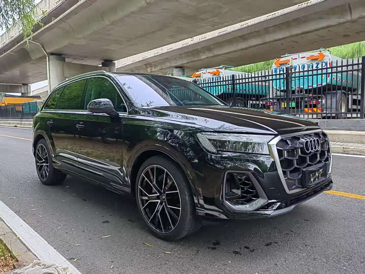 Audi Q7 2025 2025款 55 TFSI quattro S line尊贵型