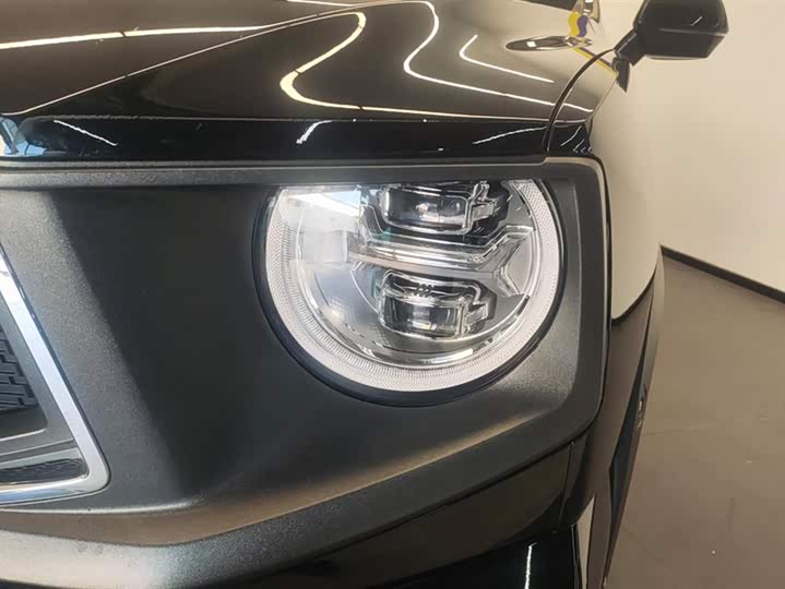 Haval H-Dog 2023 2023款 2.0T 两驱潮野版Plus