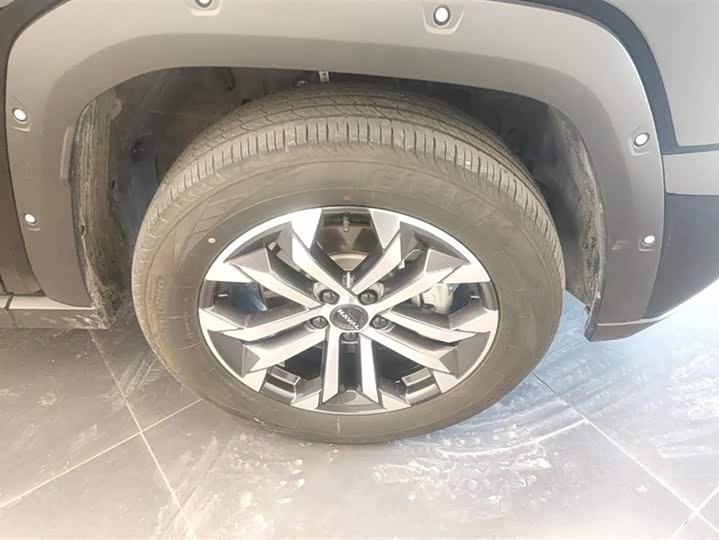 Haval H-Dog 2023 2023款 2.0T 两驱潮野版Plus