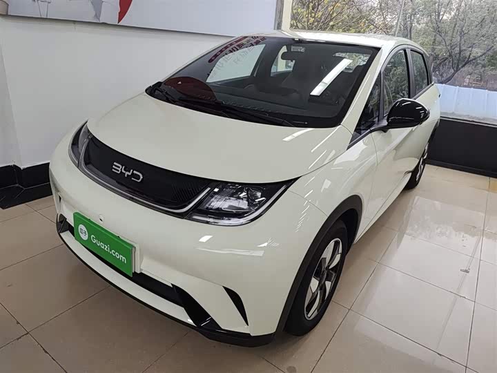BYD Dolphin 2025 2025款 420km 自由版