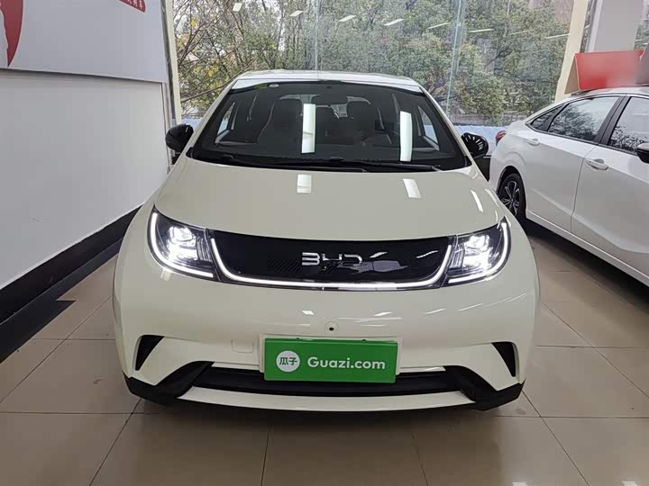 BYD Dolphin 2025 2025款 420km 自由版