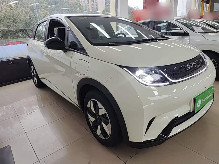 BYD Dolphin 2025 2025款 420km 自由版