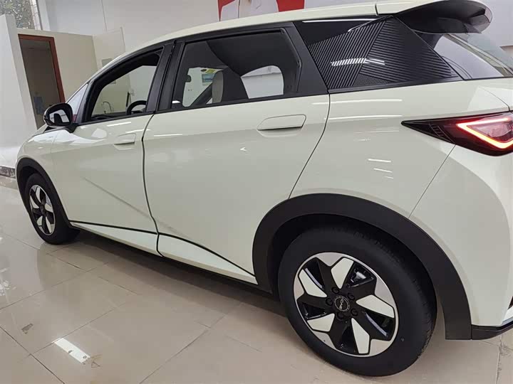 BYD Dolphin 2025 2025款 420km 自由版