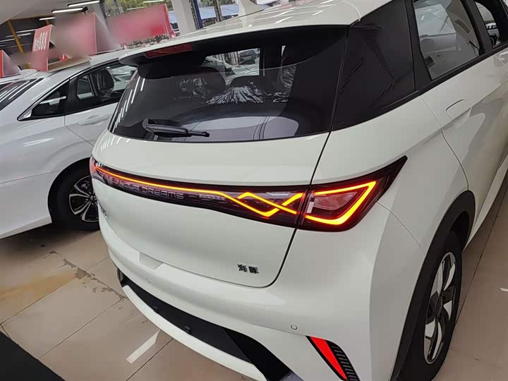 BYD Dolphin 2025 2025款 420km 自由版