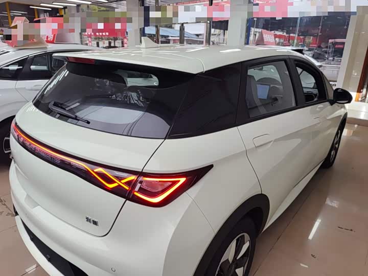 BYD Dolphin 2025 2025款 420km 自由版