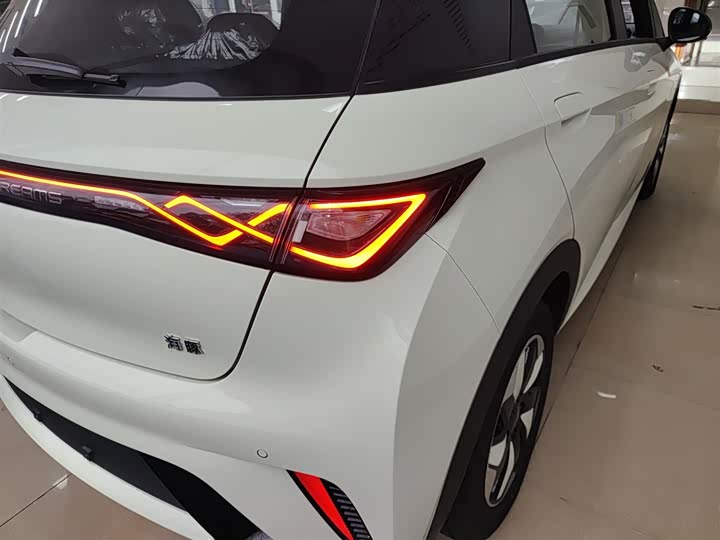 BYD Dolphin 2025 2025款 420km 自由版