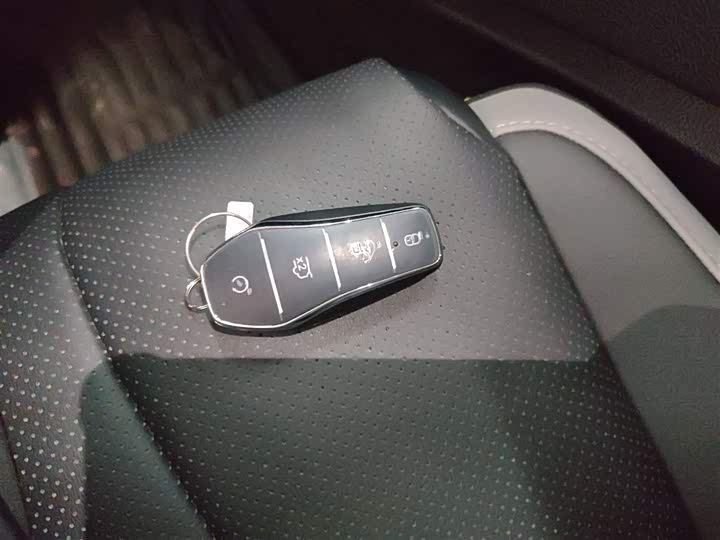 BYD Sea Lion 05 DM-i Hybrid 2025 2025款 DM-i 智驾版 115KM旗舰型