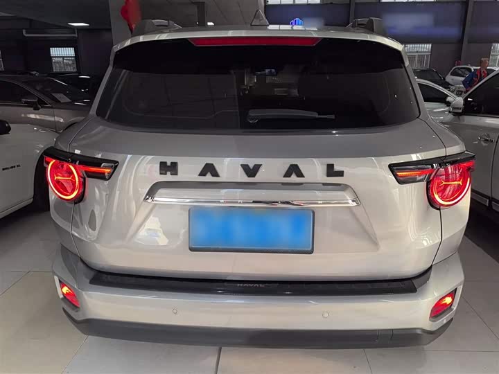 Haval H-Dog 2023 2023款 2.0T 两驱潮野版