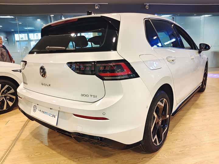 Volkswagen Golf 2025 2025款 改款 300TSI R-Line