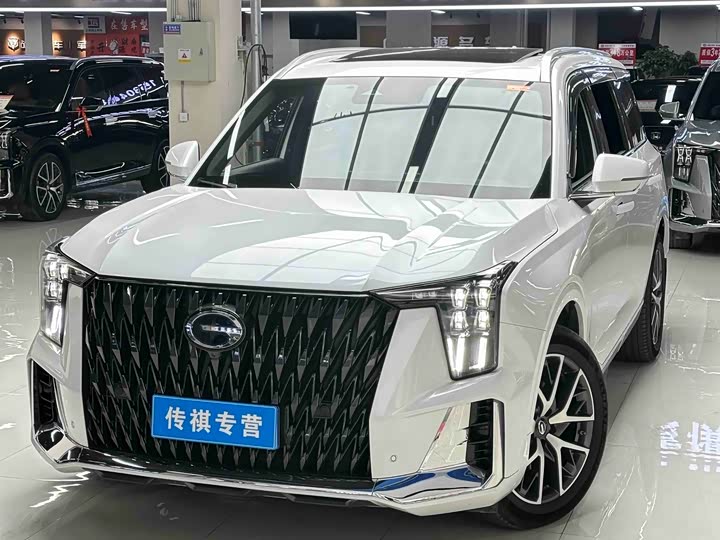GAC Trumpchi GS8 2024 2024款 双擎系列 2.0TM 两驱尊贵版