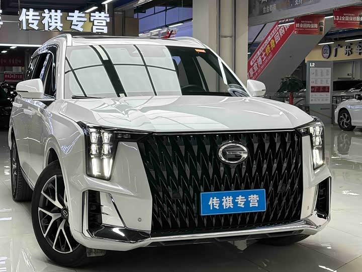 GAC Trumpchi GS8 2024 2024款 双擎系列 2.0TM 两驱尊贵版