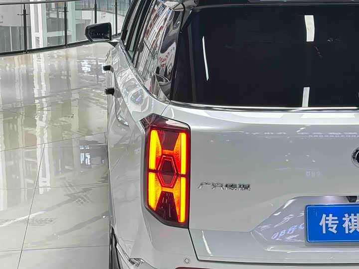 GAC Trumpchi GS8 2024 2024款 双擎系列 2.0TM 两驱尊贵版