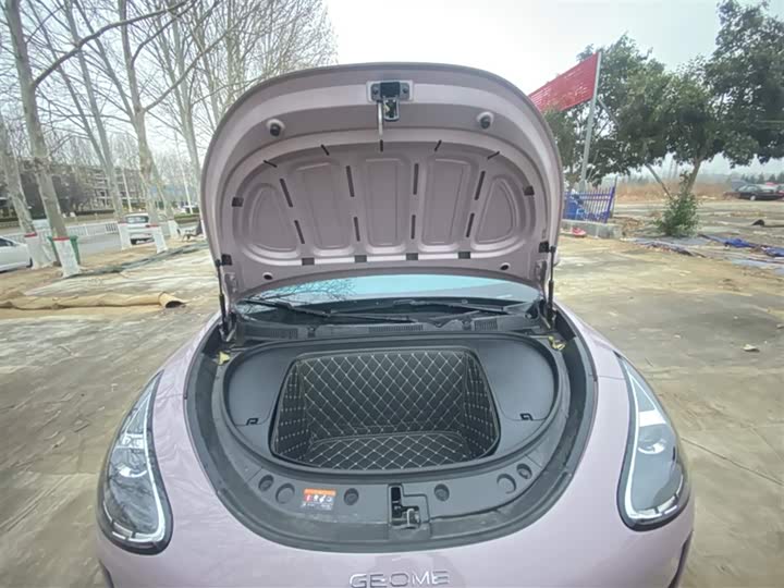 Geely Galaxy Geome 2026 2026款 310km 青春版